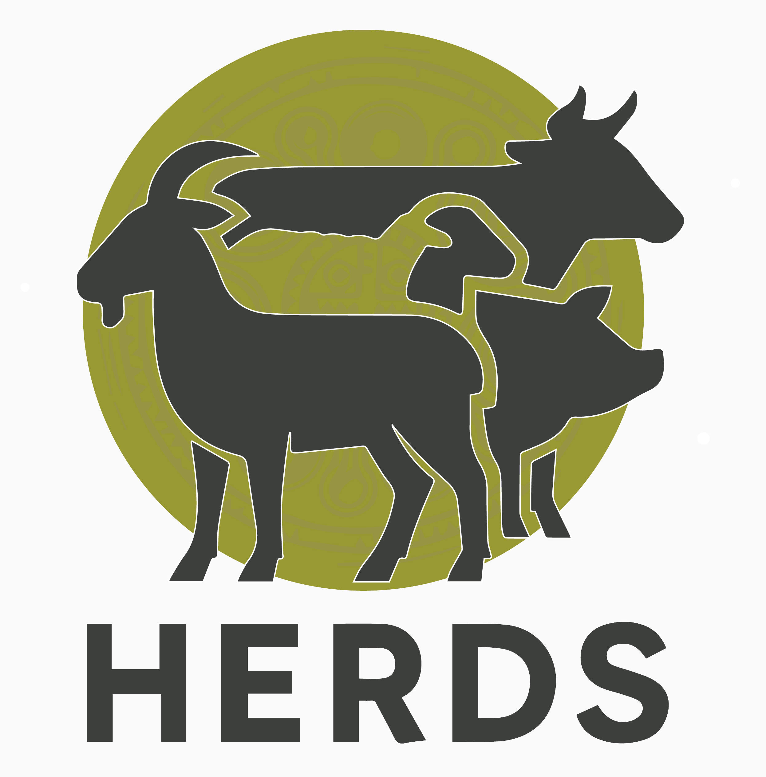 Logo HERDS