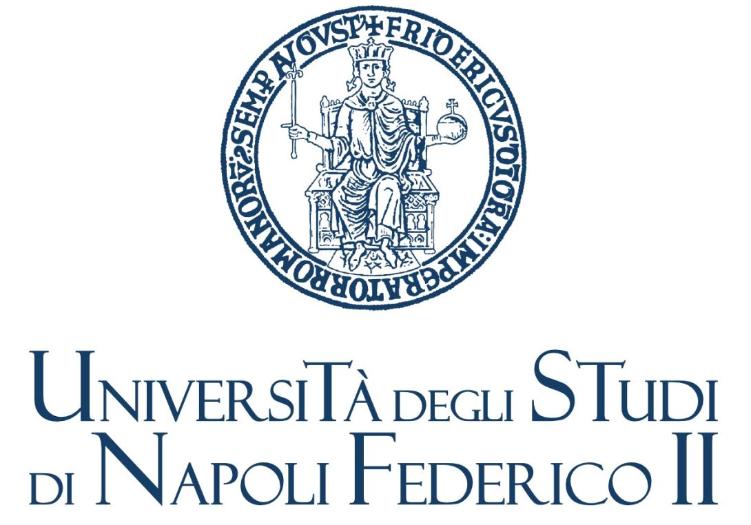 Logo Università di Napoli